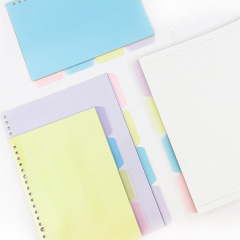 colorful  Dividers file folder